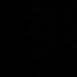 Meet your Posher, Lynshanta